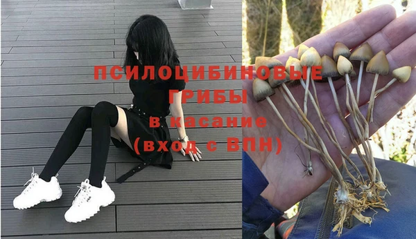 хмурый Армянск