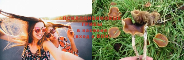 марки nbome Аркадак